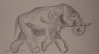 a drawing of an elephant