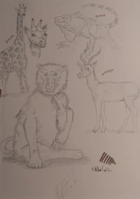 a drawing of a giraffe, a giraffe, a giraffe, a gira