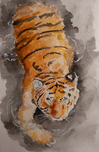 a watercolor painting of a tiger